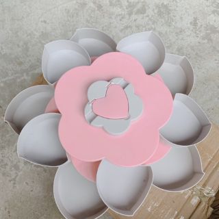 KHAY MỨT 2 TẦNG