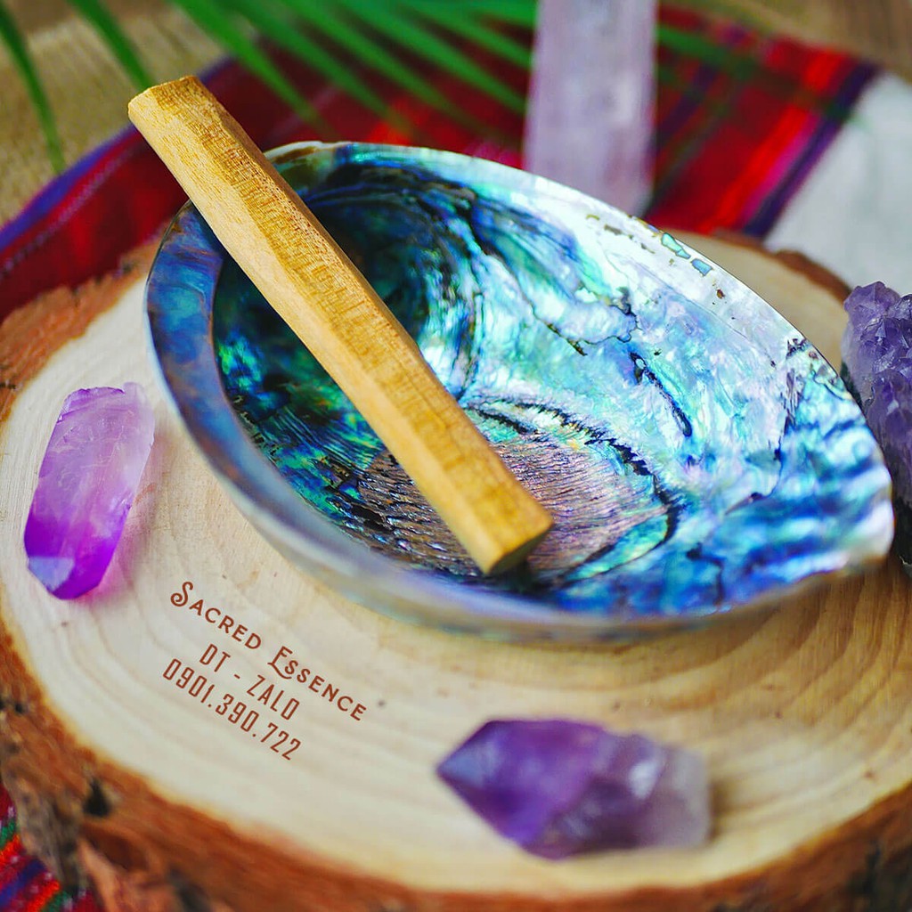 *Ecuador* 100% Pure Palo Santo - gỗ Trắc xanh đặc biệt nhập khẩu từ Ecuador chất lượng tốt nhất | Sa