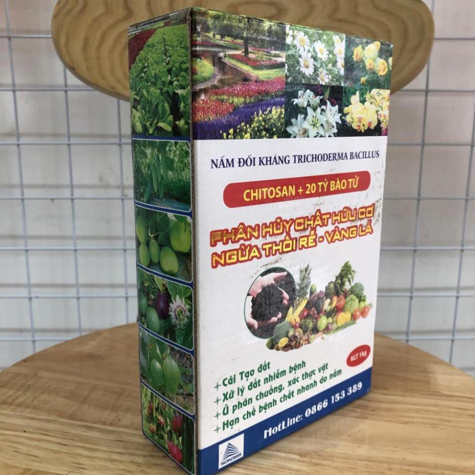 Trichoderma bacillus Chitosan +20 tỷ bào tử hộp 1kg ủ phân, chống vàng lá thối rễ