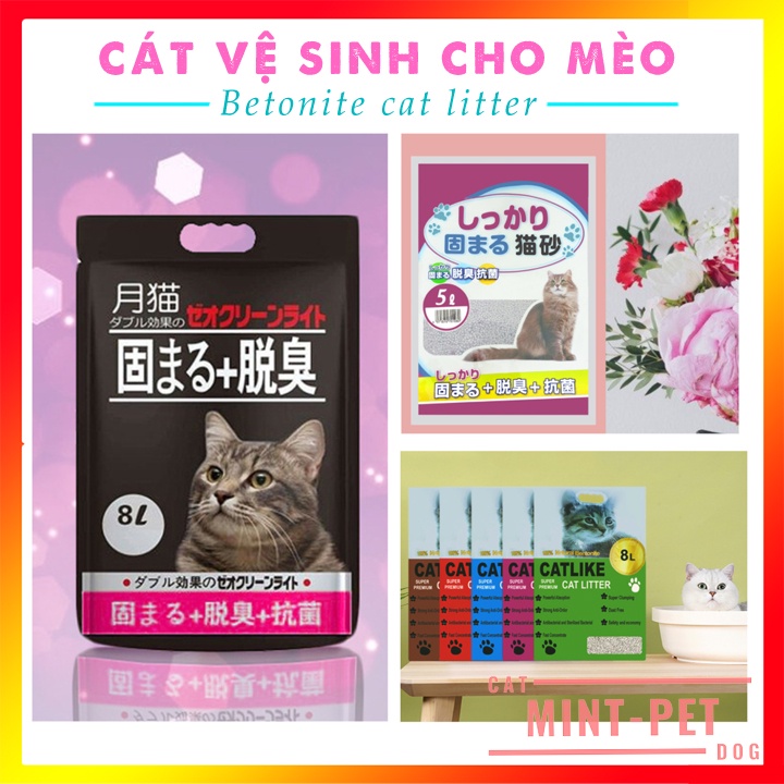 Cát Vệ Sinh Cho Mèo Siêu Rẻ Siêu Tiết Kiệm Bao 8L &amp; 5L- Cát Mèo Giá Rẻ #MintPet