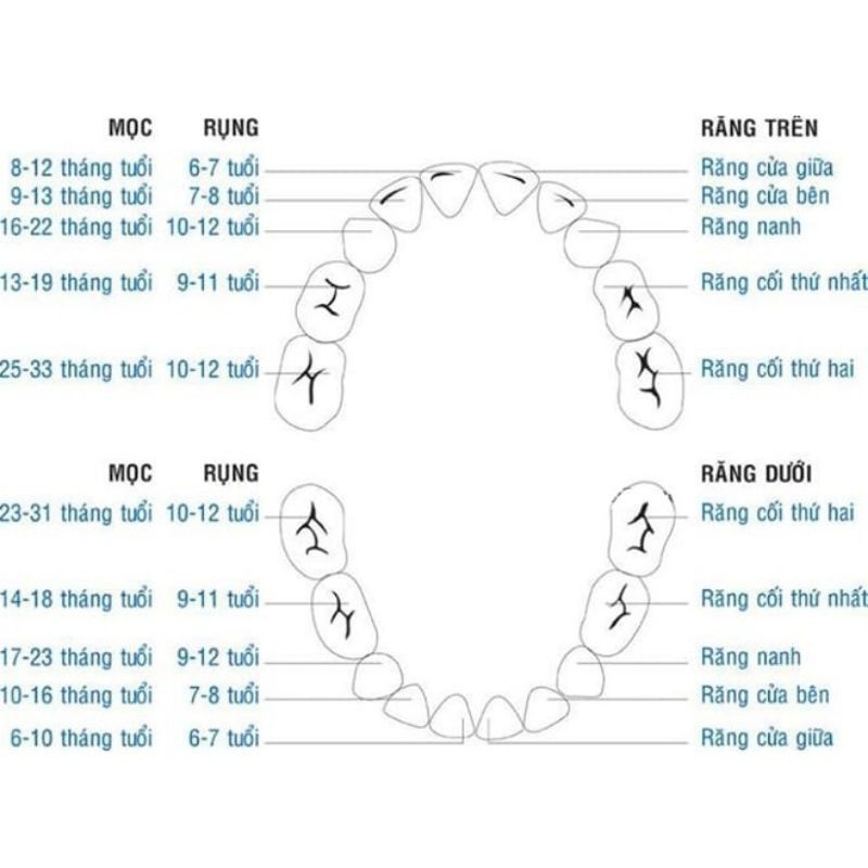 Buonavit D3F - Bổ sung Vitamin D3 và Flo, bảo vệ men răng