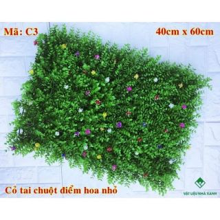 CỎ TAI CHUỘT NHỰA ĐIỂM HOA LỚN VÀ HOA NHỎ