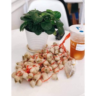 [ 100 viên/ xâu ] 🌟NEM CHẢ CÁ THÁC LÁC ỚT XIÊM🌟