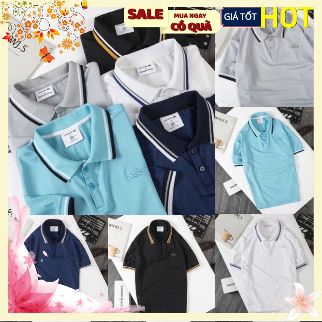 ÁO POLO NAM THÊU CÁ SẤU CỔ VIỀN | BigBuy360 - bigbuy360.vn