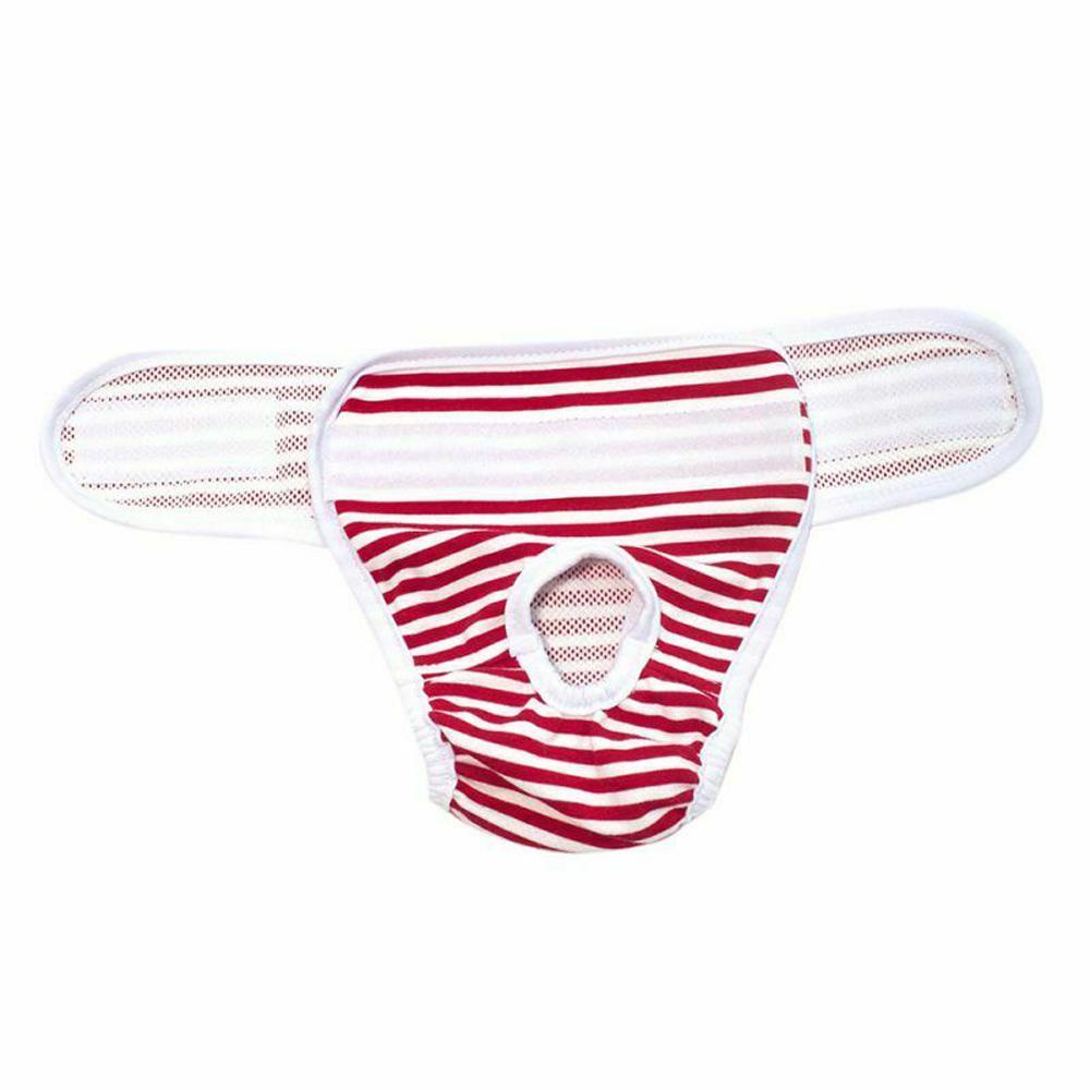 Quần Lót Sinh Lý Bằng Cotton Cho Cún Cưng