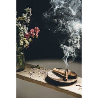 GỖ THÁNH - GỖ TRẮC XANH (Palo Santo)