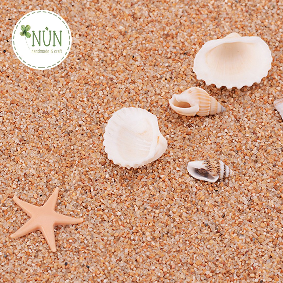 Sao Biển, Vỏ Ốc, Vỏ Sò - Phụ Kiện Để Làm Handmade, Trang Trí, Trang Sức