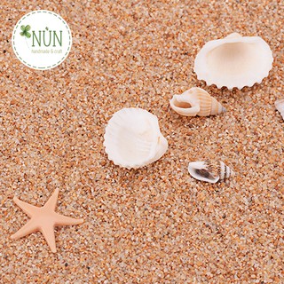 Sao Biển, Vỏ Ốc, Vỏ Sò - Phụ Kiện Để Làm Handmade, Trang Trí, Trang Sức