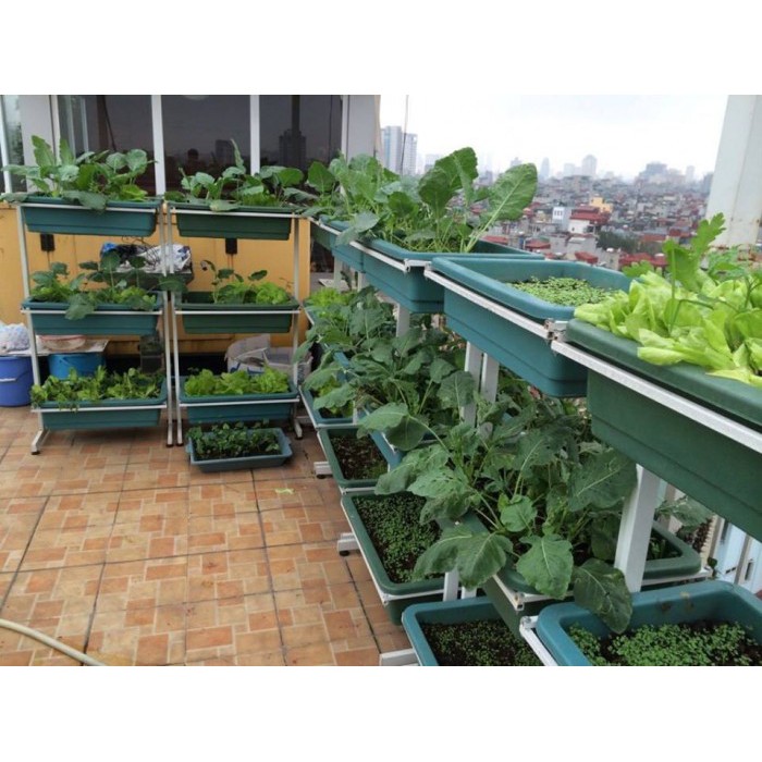 Đất trồng cây tổng hợp: đất sạch, xơ dừa