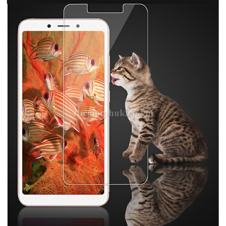 Tấm dán kính cường lực Xiaomi Redmi 6A chống vỡ, chống xước màn hình