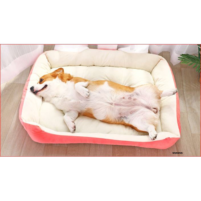 Đệm cao cấp chữ nhật hình xương chó chó mèo