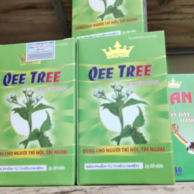 Qee tree Kingphar - Hết lo trĩ nội, trĩ ngoại | BigBuy360 - bigbuy360.vn