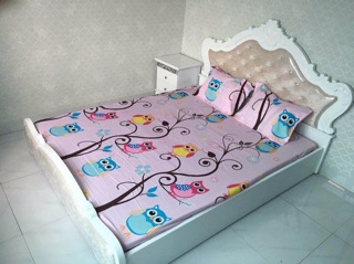 Bộ ga chun và 2 vỏ gối