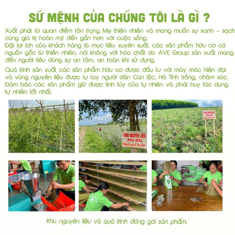 Nhang sạch, nhang thảo mộc không hóa chất, an toàn cho sức khỏe, hương Quế - An An