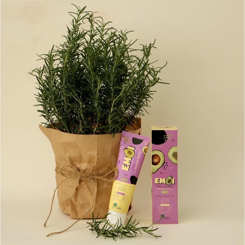 Kem đánh răng Emoi Herbal Toothpast