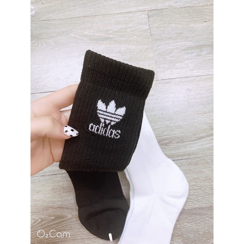 Tất thể thao - adidas cao cổ - hàng xuất dư