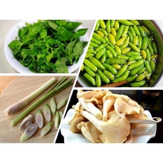 Lá é tươi phú yên 👉 combo nguyên liệu lẩu gà lá é: lá é tươi, măng củ vàng luộc, nấm bào ngư, ớt xiêm xanh, bún tươi