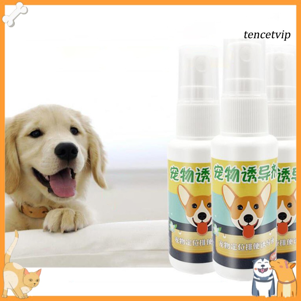Bình Xịt 30ml Huấn Luyện Thú Cưng Đi Vệ Sinh Trong Nhà / Ngoài Trời Tiện Dụng
