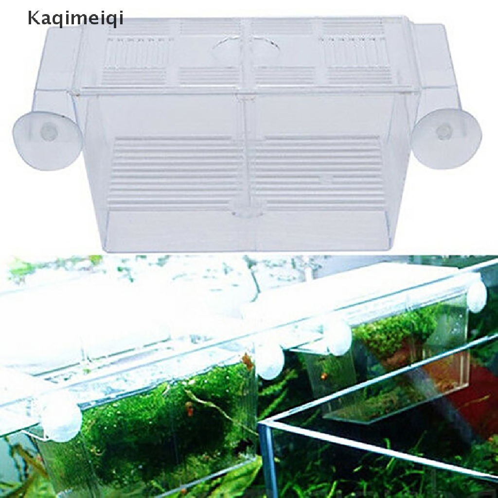 Lồng đẻ cho cá bảy màu nhân giống thiết kế tiện dụng