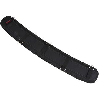 Đệm lưng E-value EFS-BK Nhật màu đen