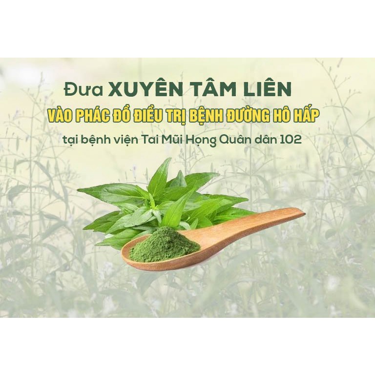 Trà xuyên tâm liên THÔNG CÁT tốt cho đường hô hấp, tăng sức đề kháng, bảo vệ sức khỏe trước vr, vk