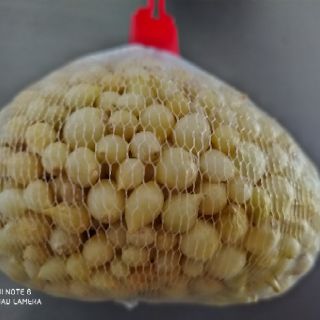 Củ nén Bình Sơn- Đặc sản Quảng Ngãi 500gram