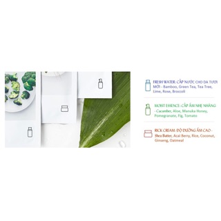 Combo mặt nạ giấy Innisfree My Real Squeeze Mask ( mẫu mới 2017 )