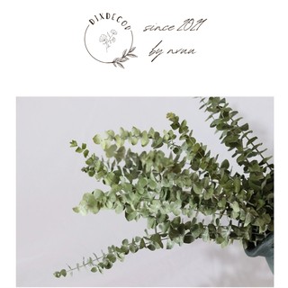 Bạch Đàn Lá Tròn Khô - Khuynh Diệp Khô Trang Trí - Lá Táo Eucalyptus - Phụ Kiện Hoa Khô - Trang Trí Phòng Ngủ