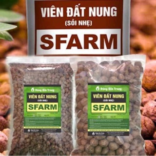 Viên Đất Nung (5-10mm) 5dm