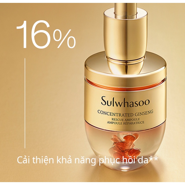 Tinh Chất Dưỡng Da Nhân Sâm Sulwhasoo Concentrated Ginseng Renewing Ampoule 20g