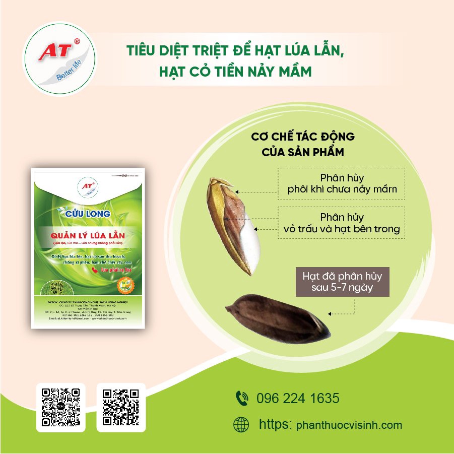 Xử lý lúa 2 tầng, lúa lộn hạt cỏ sau thu hoạch, chống xì phèn – Xử lý lúa ma AT Cửu Long 225g
