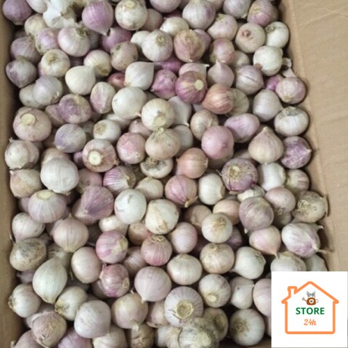 Tỏi Cô Đơn Phan Rang [1 kg]