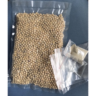 Combo làm tempeh (đậu tương hạt khô, men temph, giấm, túi zip)
