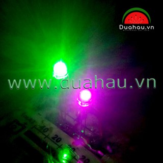 [1.000 bóng led màu HỒNG] Led lùn đầu dù 5mm - bóng trong