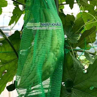 1kg túi lưới đựng hoa quả màu xanh dài 35cm - LX35