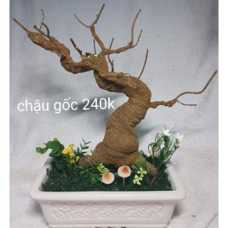 Phụ kiện làm hoa mai