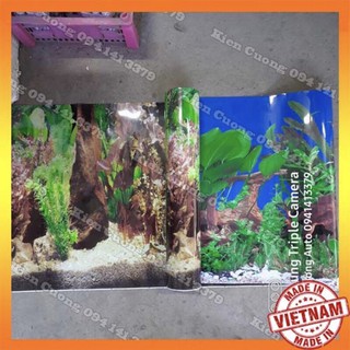 Tranh bể cá cảnh cao 40cm 50cm