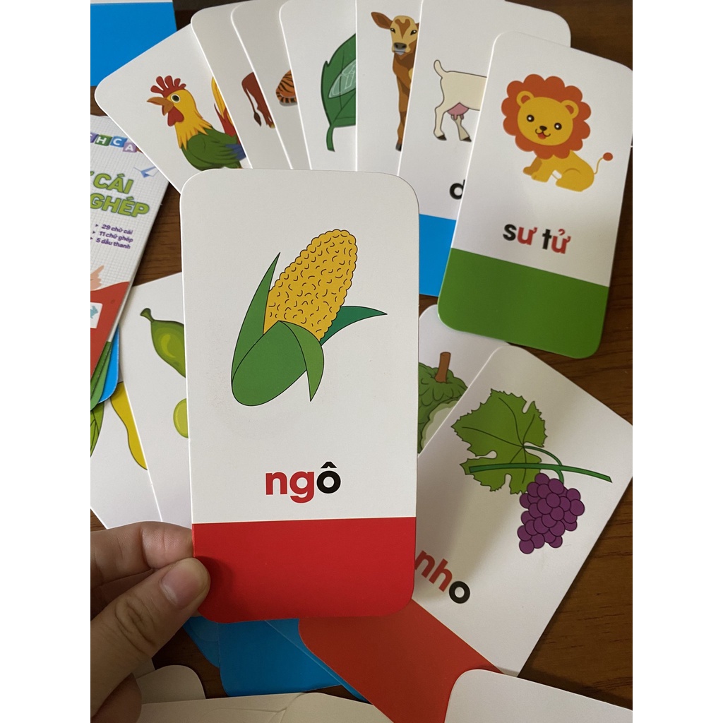 Bộ thẻ Flash card chữ cái cho bé