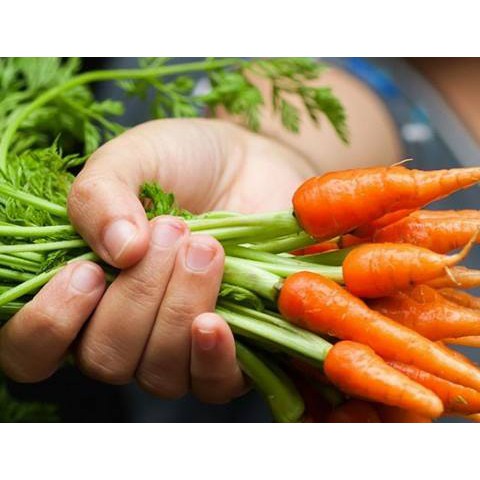 HẠT GIỐNG CÀ RỐT TÍ HON