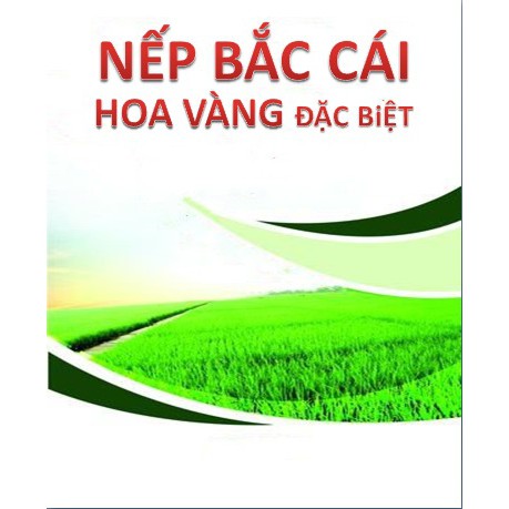 Nếp Bắc Cái Hoa Vàng | BigBuy360 - bigbuy360.vn