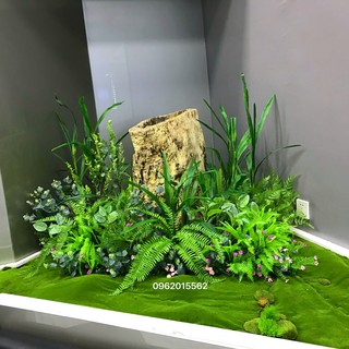 Thảm rêu trang trí, làm tường sen đá, tiểu cảnh