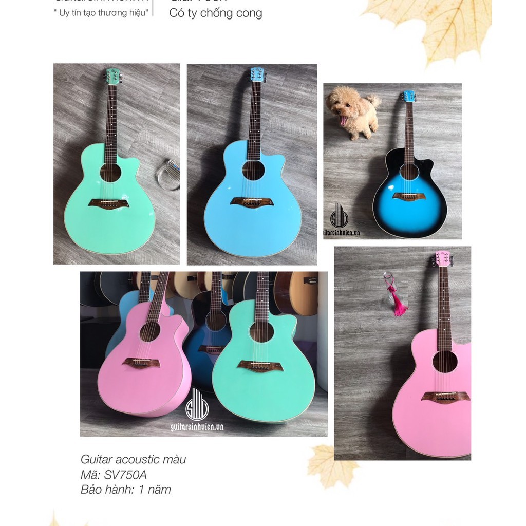 Đàn guitar acoustic màu có ty SV750A - Đàn cho người mới - Tặng 6 phụ kiện - Bảo hành 1 năm