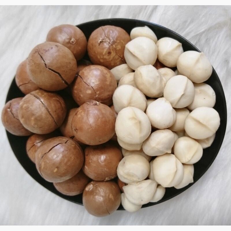 1 Kg Hạt Mắc Ca ĐAKLAK Sấy lạnh nhiều dinh dưỡng