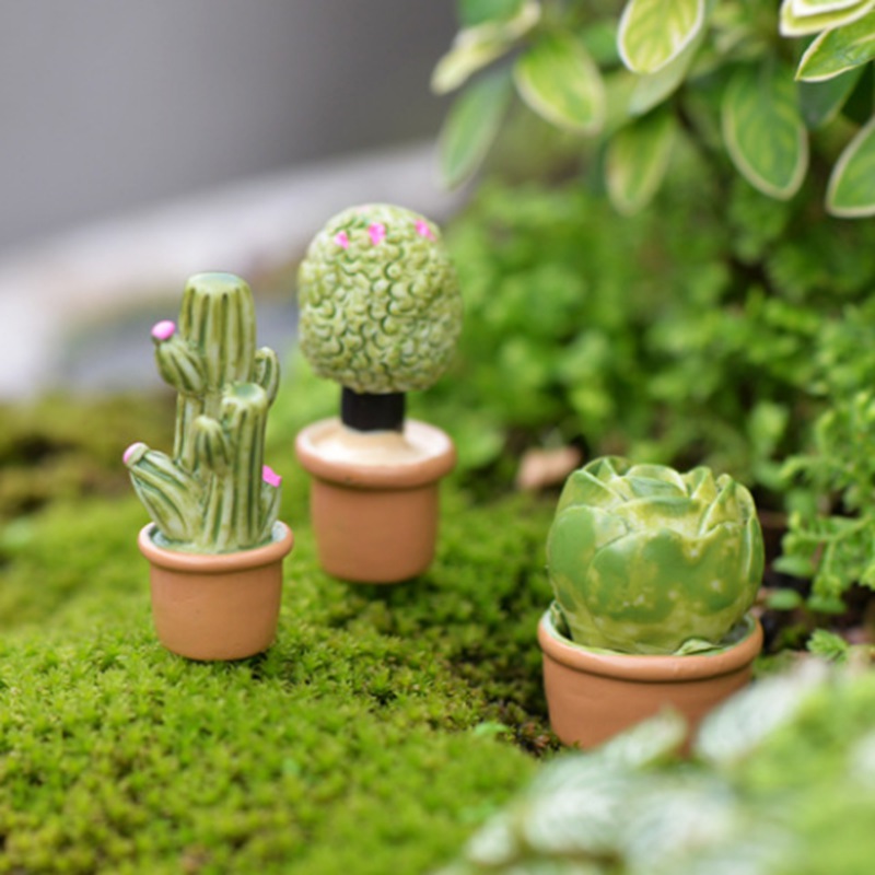 Đồ Trang Trí Hình Cây Xương Rồng Và Hoa Giả Cho Sân Vườn