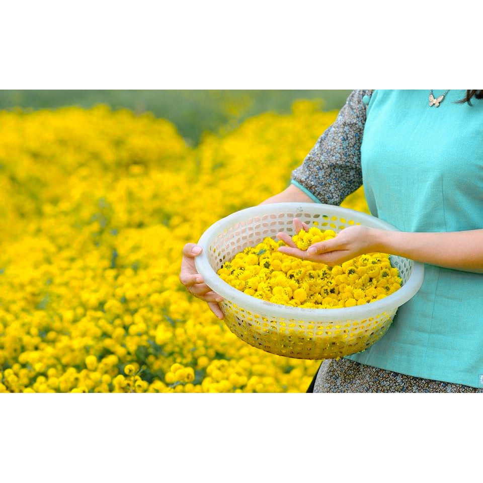500Gr Hoa Cúc Chi Sấy Lạnh Tôi Yêu Trà Chất Lượng Loại 1 Thơm Ngon Tinh Khiết 🌿