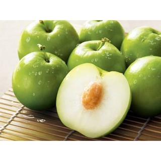 CÂY GIỐNG TÁO ĐẠI (ĐẠI TÁO) DÒNG QUẢ SỚM- CAM KÊT GIỐNG CHUẨN F1