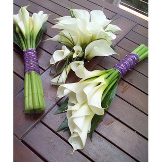 COM BO 2 CỦ GIỐNG HOA RUM TRẮNG CỰC ĐẸP, CỦ XỊN - CGHRT