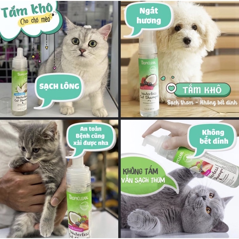 Bọt tắm khô Tropiclean cho chó mèogiúp làm sạch và khử mùi hôi 220ml - xuất xứ Mỹ