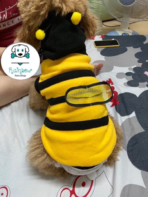 Áo hoodie con Ong Ong vàng dễ thương có nón cho thú cưng