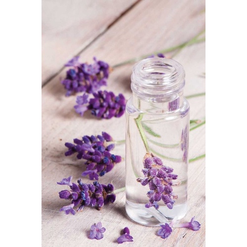 Tinh dầu Oải hương Pháp nguyên chất OKING (True lavender) 10ml